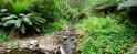 pano1(4x10 crop)